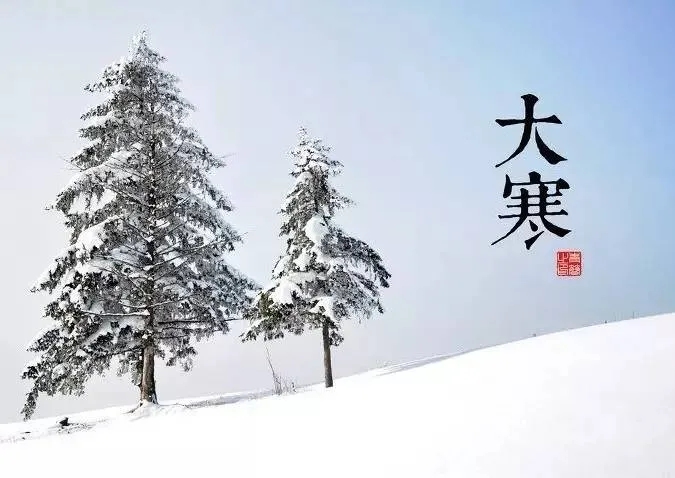 大寒.webp.jpg