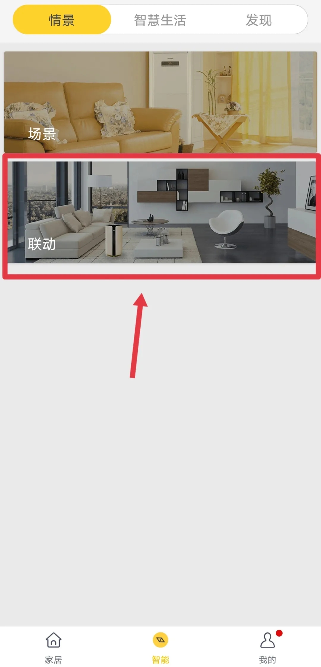 2.webp.jpg