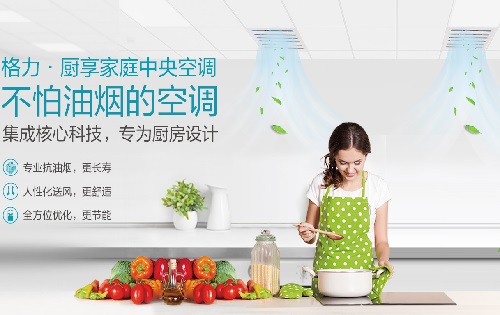 格力厨享风管式室内机(厨房专用室内机)